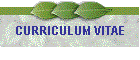 CURRICULUM VITAE